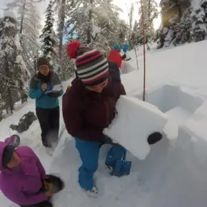 Fieldwork Experience | SnowSchool Experience | Avalanche Awareness